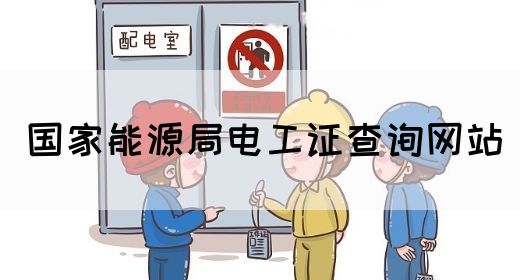 国家能源局电工证查询网站(图1)