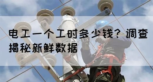 电工一个工时多少钱？调查揭秘新鲜数据