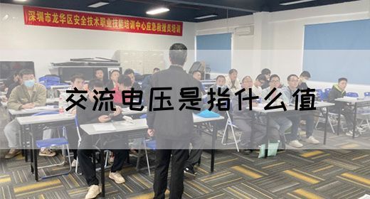 【交流电】交流电压是指什么值(图1)