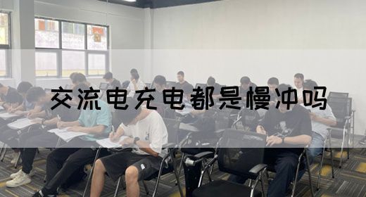 【交流电】交流电充电都是慢冲吗(图1)