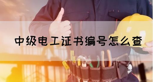 中级电工证书编号怎么查(图1)