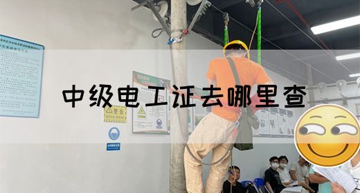 中级电工证去哪里查(图1)