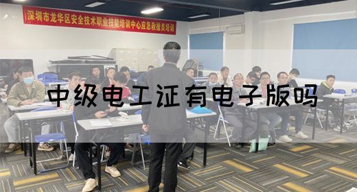 中级电工证有电子版吗(图1)