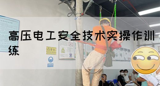 高压电工安全技术实操作训练(图1)