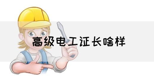 高级电工证长啥样(图1)