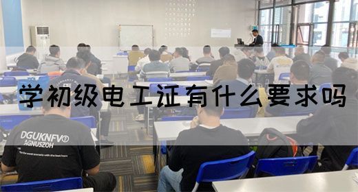 学初级电工证有什么要求吗