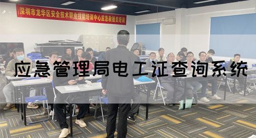 应急管理局电工证查询系统