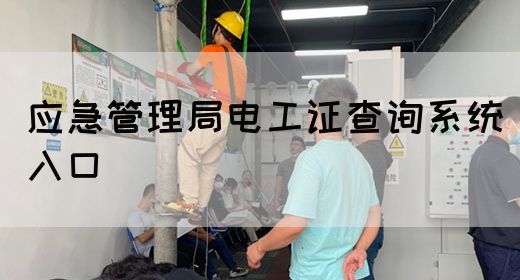 应急管理局电工证查询系统入口